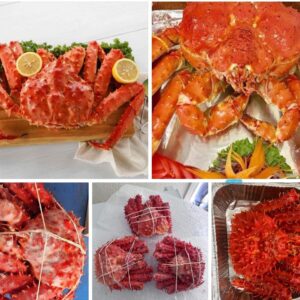 King crab nguyên con hấp chín