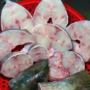 Cá bóp Florlida cắt khúc
